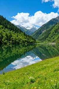 甘肅宕昌,一個被遺忘的22℃夏天仙境! 峽谷深處飛瀑流泉,清風拂過森林草甸,這座小城私藏了太多驚喜