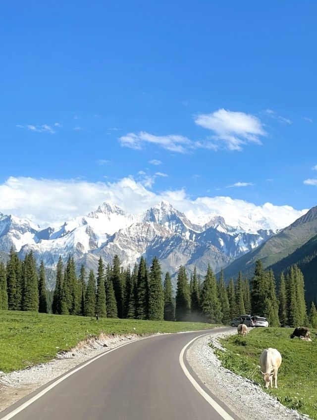 4天3晚夢幻伊犁之旅】人均2500私藏小眾路線&拍照攻略