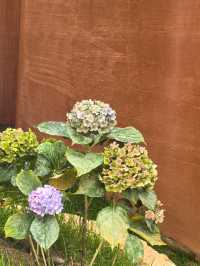 麗江不踩雷民宿！閱山觀景住著太上癮