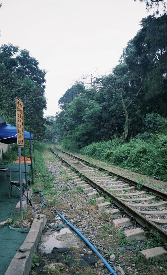 貴陽小眾拍照聖地！廢棄軌道隨手拍出大片感