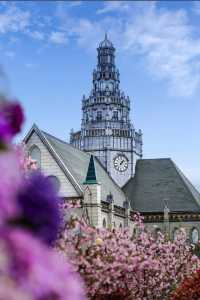 鹽城新秘境｜荷蘭花海：穿越歐式童話的浪漫風暴