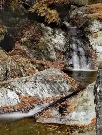 2025年11月16日廣元唐家河