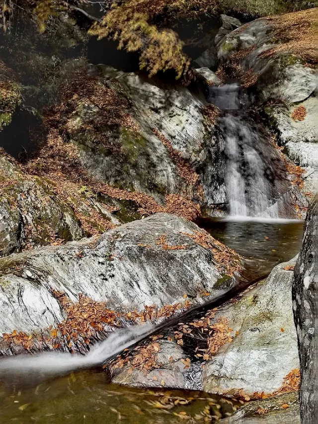 2025年11月16日廣元唐家河