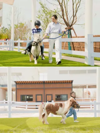 秋日漫遊指南！鏡頭裡裝不下的秋意