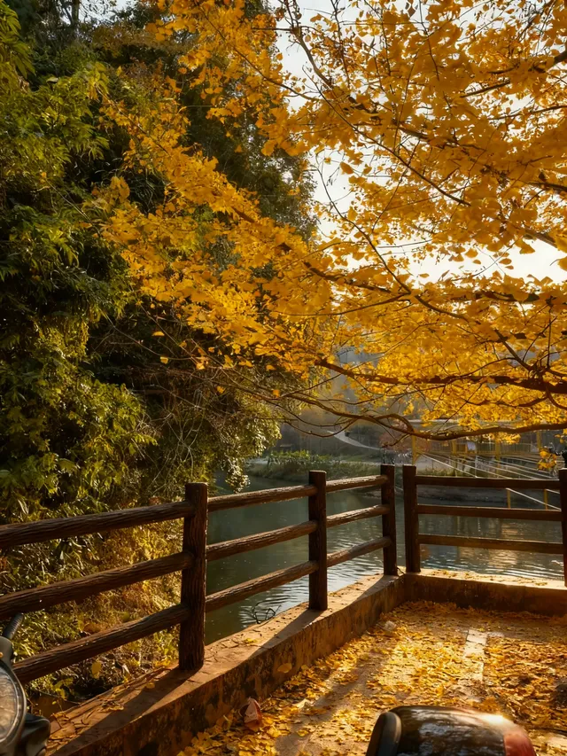 南雄·帽子峰 南雄·帽子峰