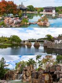 常熟尚湖秋日攻略水上森林+大雁伴飛+萌寵互動超治癒