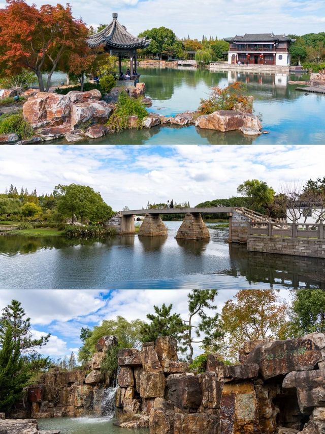 常熟尚湖秋日攻略水上森林+大雁伴飛+萌寵互動超治癒