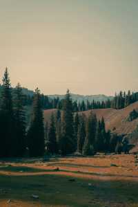 秋遊必看巴音郭楞等地寶藏玩法大公開