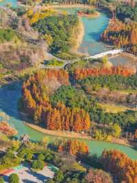 泗洪2天1夜|城東生態公園秋意濃!