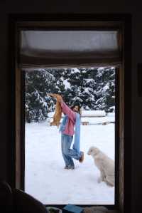 在禾木小住，遇到了夢想中的小木屋