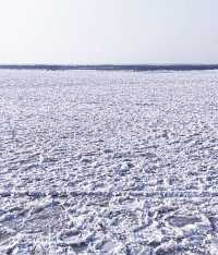 松花江一望無際的冰花