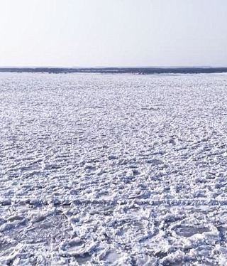 The boundless ice flowers of the Songhua River