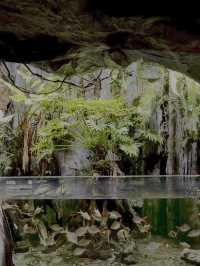 Shanghai’s Ultimate Urban Jungle Adventure🎉: Parent-Child Weekend Guide 🌿🤩