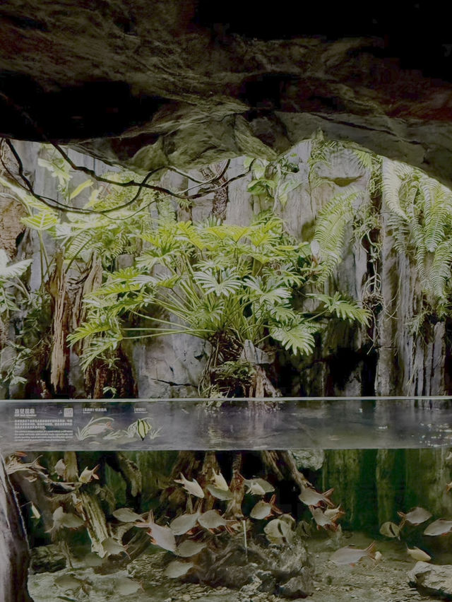 Shanghai’s Ultimate Urban Jungle Adventure🎉: Parent-Child Weekend Guide 🌿🤩 Shanghai’s Ultimate Urban Jungle Adventure🎉: Parent-Child Weekend Guide 🌿🤩