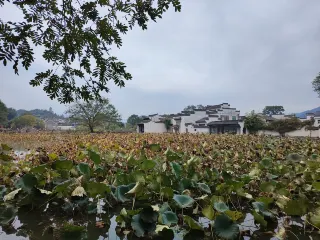 徽州の旅〜古い村落を訪ねて（上）
