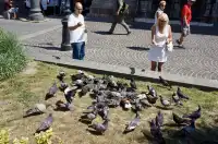 匈牙利 | Budapest布達佩斯街拍 （一）