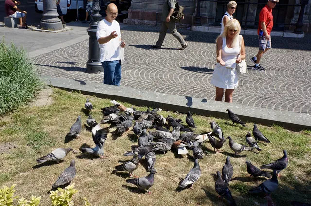 匈牙利 | Budapest布達佩斯街拍 （一）