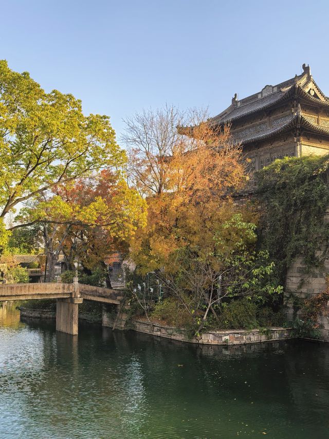 在鹽官,遇見江南最絢爛的深秋 在鹽官,遇見江南最絢爛的深秋