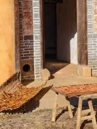 金色銀杏古道上