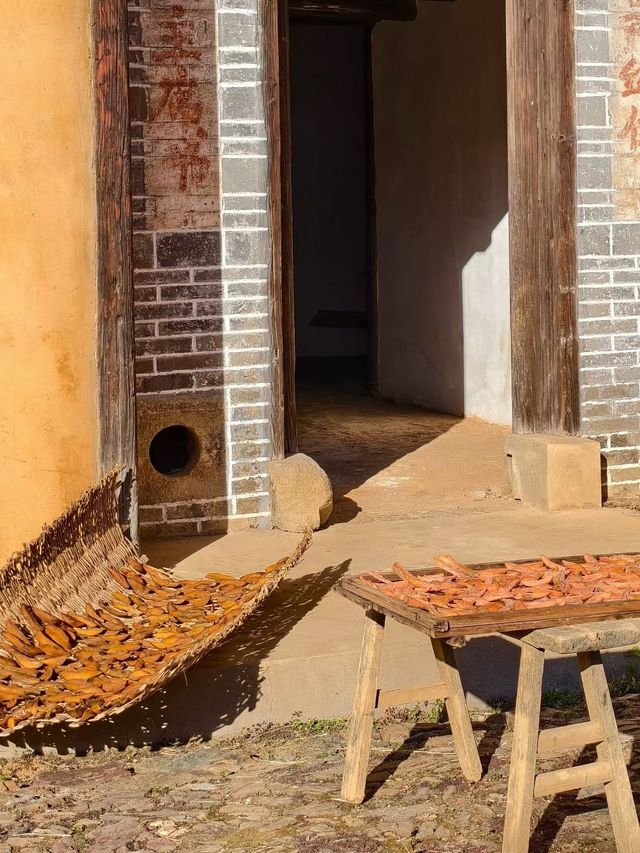 金色銀杏古道上 金色銀杏古道上