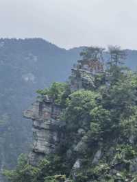 雲霧廬山4日遊攻略