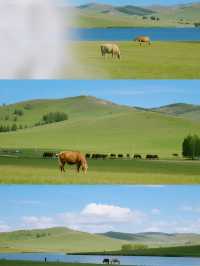 烏蘭布統親子行|草原秋日的治癒之旅