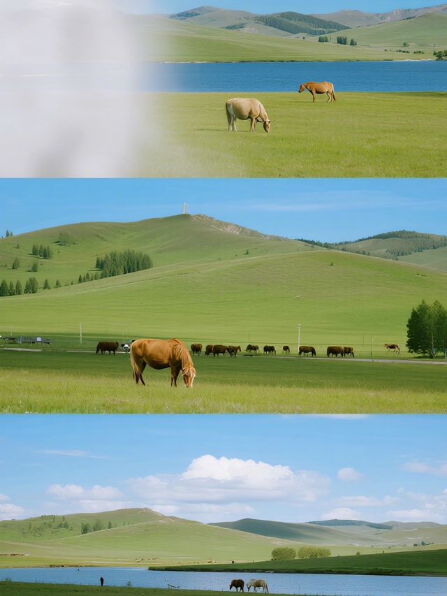 烏蘭布統親子行|草原秋日的治癒之旅 烏蘭布統親子行|草原秋日的治癒之旅