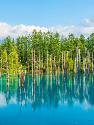 北海道6天~保姆級私訂攻略，躺平玩