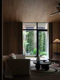 順德民宿封神！清暉園旁舊改秘境，深圳1.5h直達超治癒