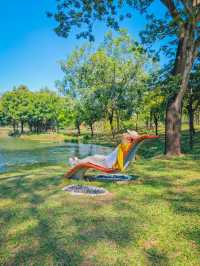 去一萬次都不夠！深圳我最愛的治癒系公園！