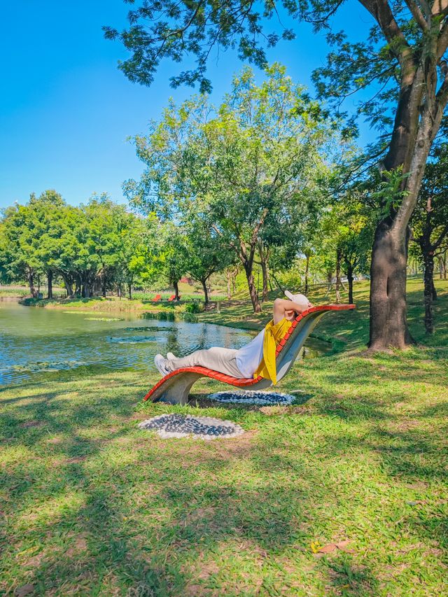 去一萬次都不夠！深圳我最愛的治癒系公園！