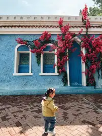 北京大興野生動物園-值得N刷