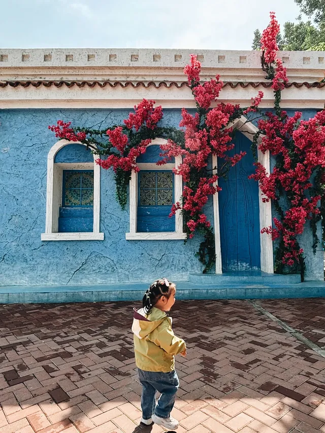 北京大興野生動物園-值得N刷