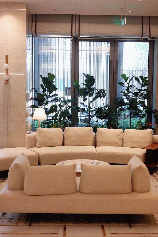 無錫→南京，一天看盡金陵銀杏黃！