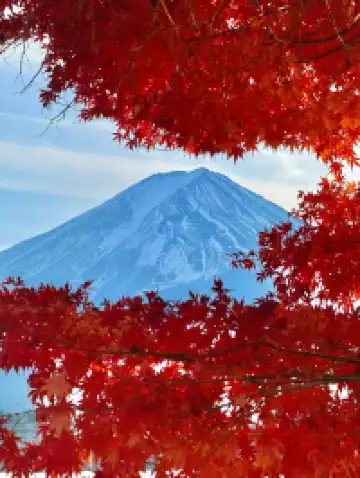 12.1日的滿級富士山