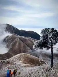 冬季武功山到底多美 不去看看嗎