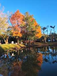 深秋漫步普洱,邂逅人間絕美湖畔秘境