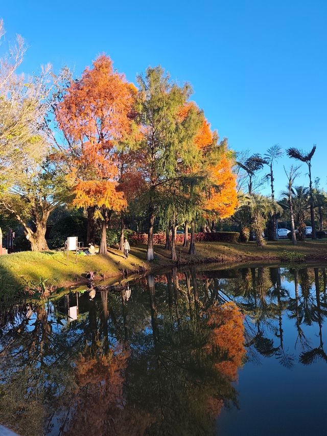 深秋漫步普洱,邂逅人間絕美湖畔秘境 深秋漫步普洱,邂逅人間絕美湖畔秘境