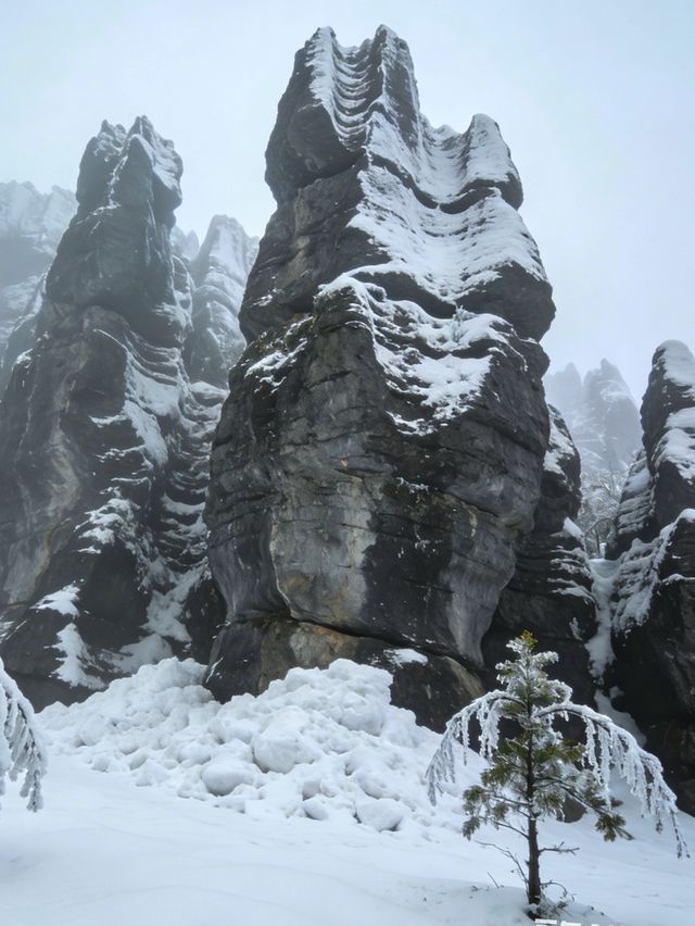 雪_石林華鎰山_四川廣安 雪_石林華鎰山_四川廣安