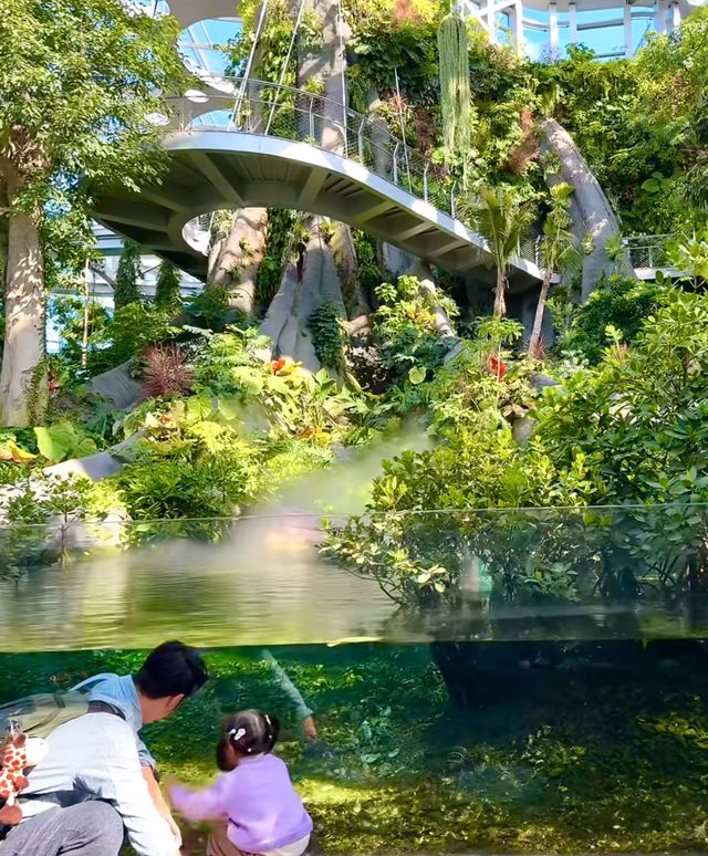 躲進城市雨林秘境