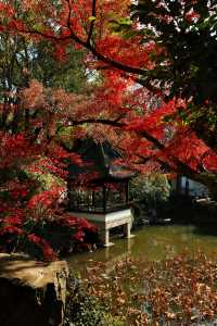 不愧為上海五大園林,驚嘆老祖宗的審美!