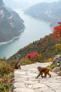 徒步賞秋天花板!這裡的秋日濃度已達90%