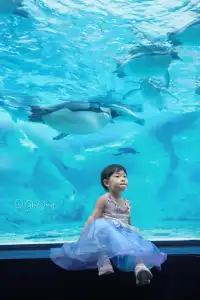 珠海長隆海洋王國|夢幻光影,美到窒息