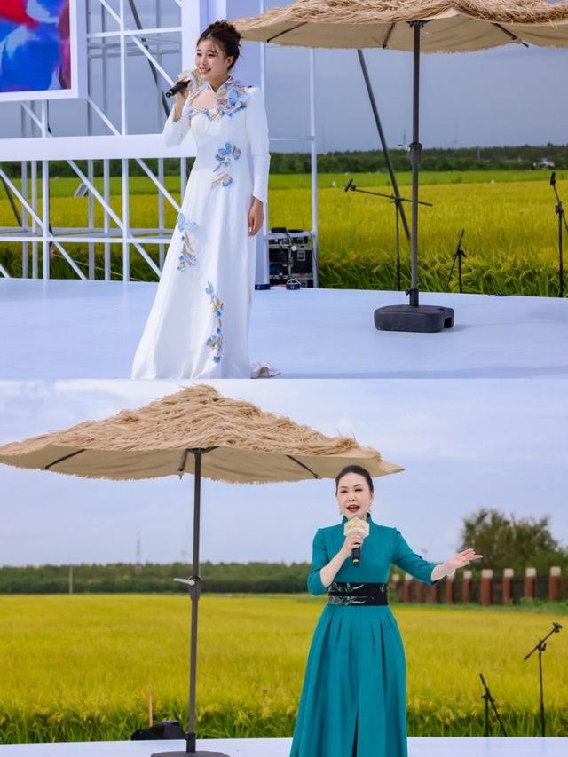 稻田音樂節打卡指南 稻田音樂節打卡指南