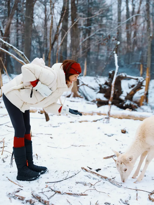 當你坐上了通往長白山的童話世界… 當你坐上了通往長白山的童話世界…