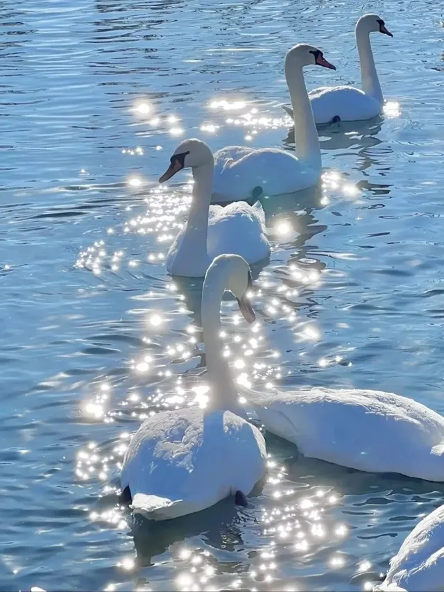 冰雪之約冬季新疆這幾個地方美到犯規！