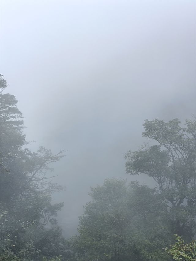 廬山雲海四觀