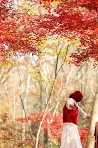 12·1南京棲霞山紅楓進入觀賞期～附路線～