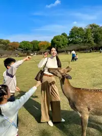 終於等到了12月的南京