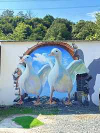 安吉｜哇，真的有這麼好玩的農場！